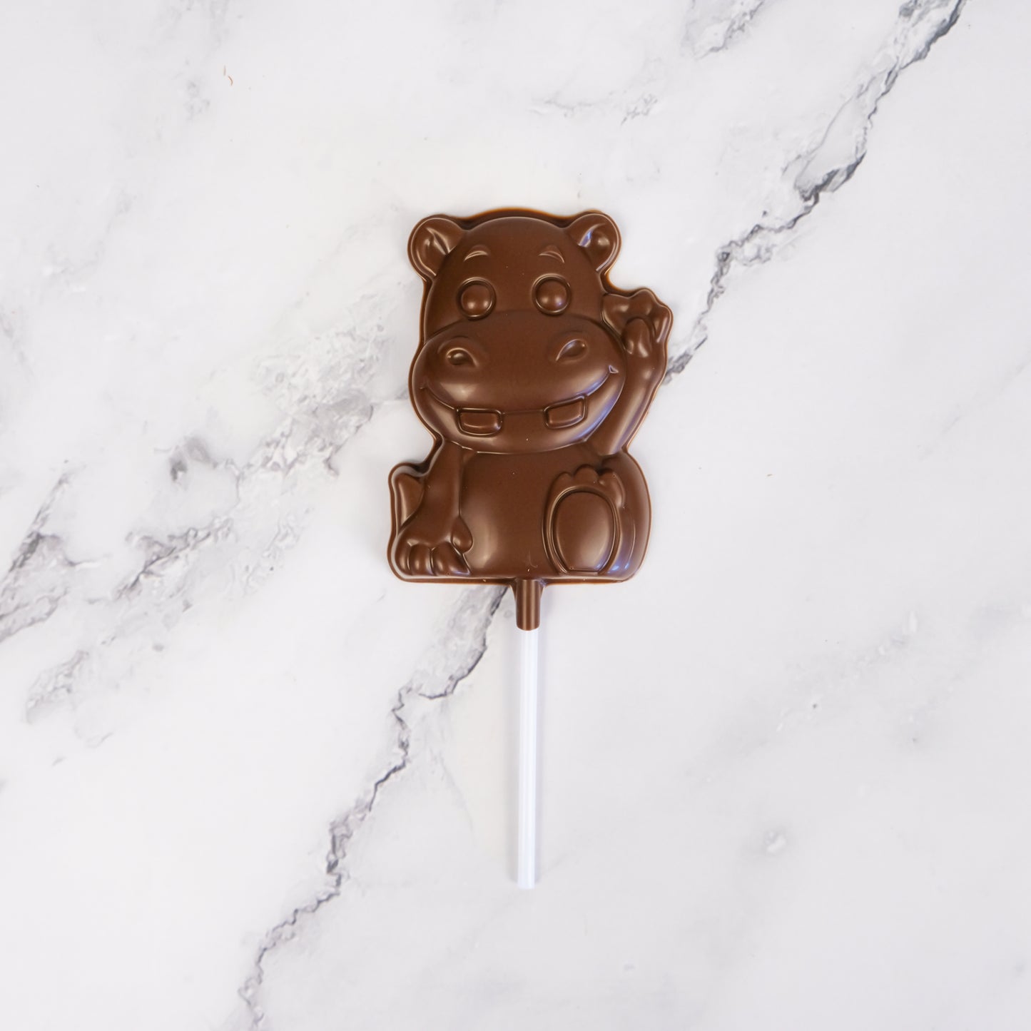Animal Chocolate Lollipop