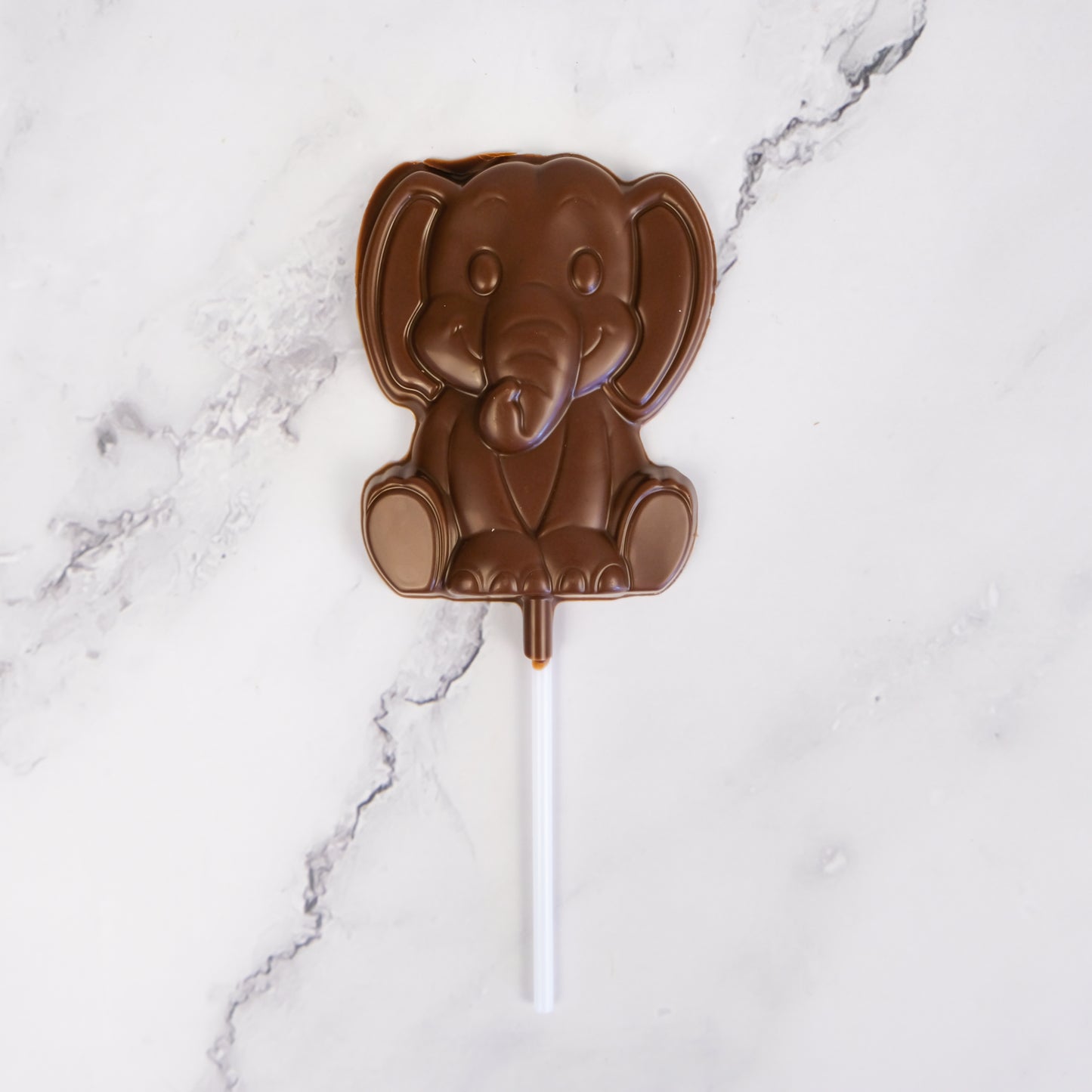 Animal Chocolate Lollipop